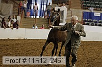 11r12_2461 proof