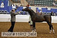 11r12_2464 proof