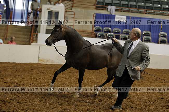 Proof 11r12_2467