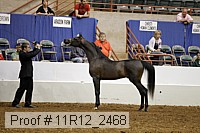 11r12_2468 proof