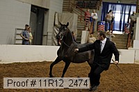 11r12_2474 proof