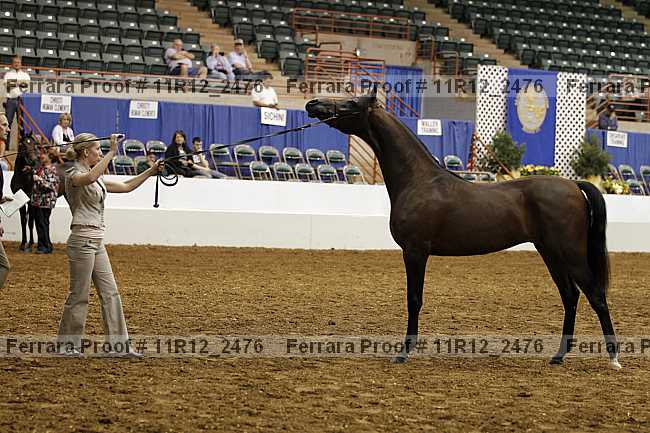 Proof 11r12_2476