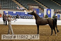 11r12_2477 proof