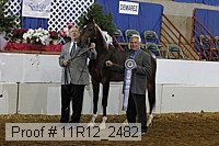 11r12_2482 proof