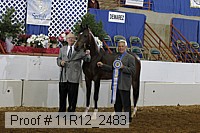 11r12_2483 proof