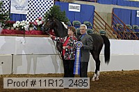 11r12_2485 proof