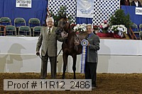 11r12_2486 proof