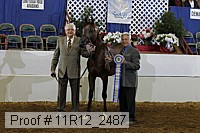 11r12_2487 proof
