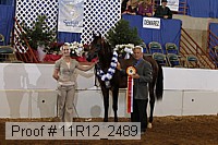 11r12_2489 proof