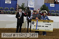 11r12_2491 proof