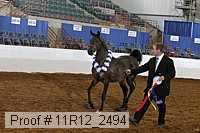 11r12_2494 proof