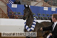 11r12_2495 proof