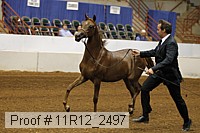 11r12_2497 proof