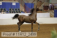 11r12_2499 proof
