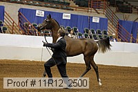 11r12_2500 proof