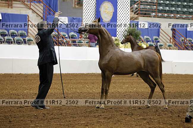 Proof 11r12_2502