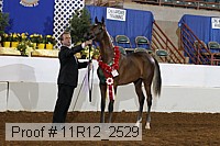 11r12_2529 proof