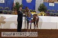 11r12_2533 proof