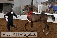 11r12_2536 proof