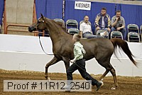 11r12_2540 proof