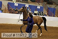 11r12_2542 proof