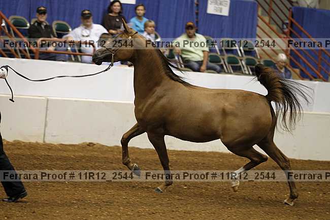Proof 11r12_2544