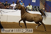 11r12_2544 proof