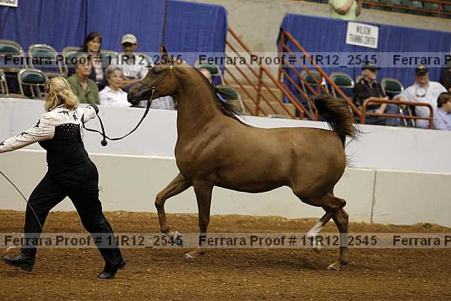 Proof 11r12_2545