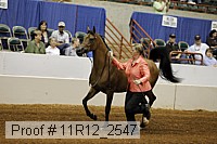11r12_2547 proof