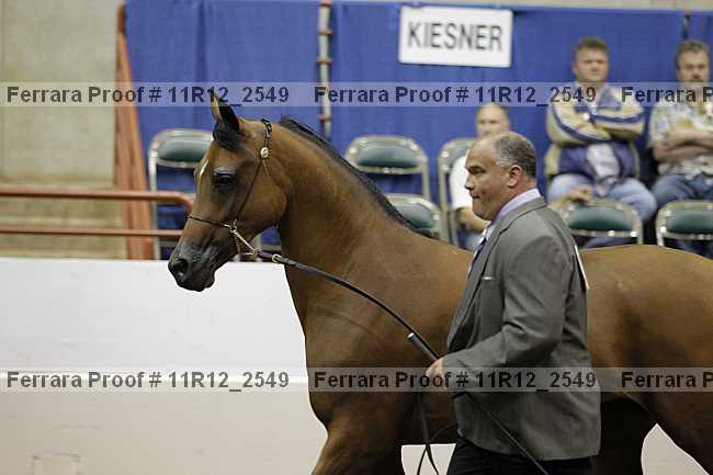 Proof 11r12_2549