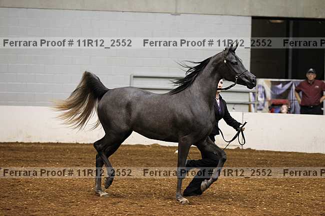 Proof 11r12_2552