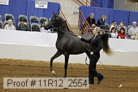 11r12_2554 proof