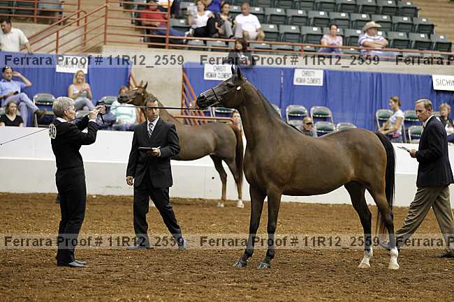 Proof 11r12_2559