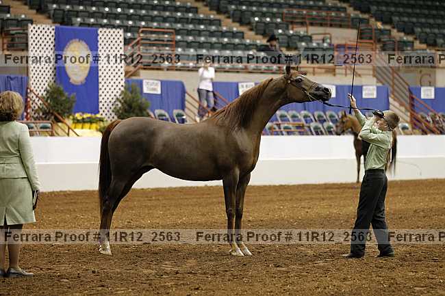 Proof 11r12_2563