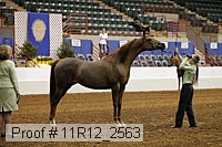 11r12_2563 proof