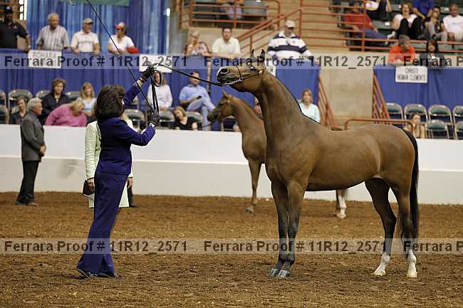 Proof 11r12_2571
