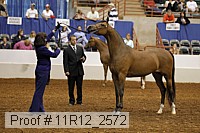 11r12_2572 proof