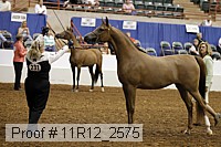 11r12_2575 proof