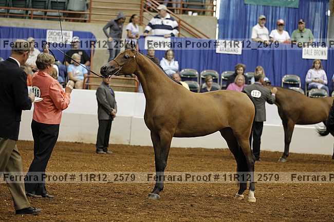 Proof 11r12_2579