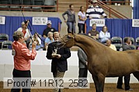 11r12_2582 proof