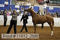 11r12_2588 proof