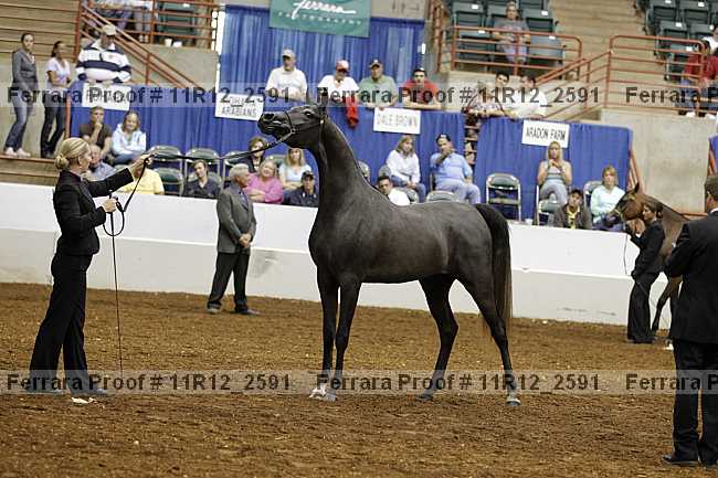 Proof 11r12_2591