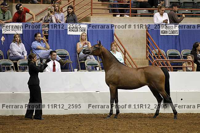 Proof 11r12_2595