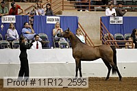 11r12_2595 proof