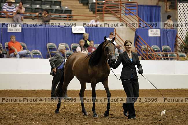 Proof 11r12_2596