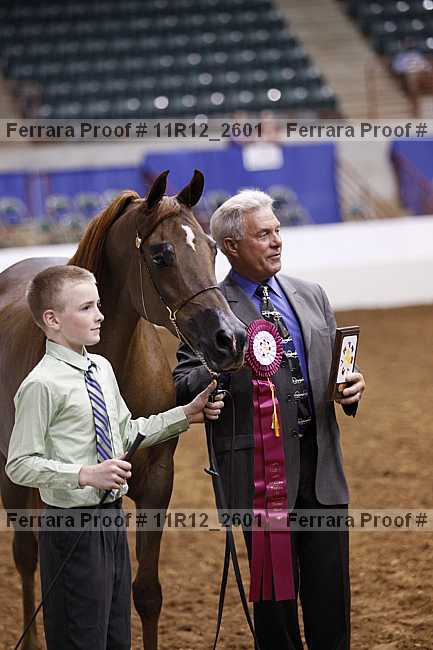 Proof 11r12_2601