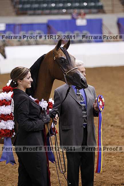 Proof 11r12_2641