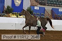 11r12_2646 proof