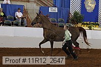 11r12_2647 proof