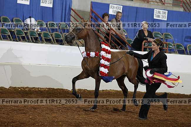 Proof 11r12_2653